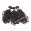 Sell Brazilian Hair Kinky Curl Human Hair Extensions