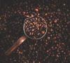 Raw Arabica Coffee beans, Roasted Arabica Coffee Beans, Powder Arabica Coffee Beans, Instant Coffee