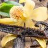 Organic Madagascar Vanilla Beans Whole Grade A, Vanilla Bean Plant, Vanilla Bean Seeds