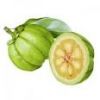 Sell Garcinia cambogia 50% extract