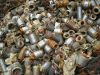 500 Metric Tons of Electric Motors Scraps Alternators &