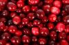 fresh Cranberries