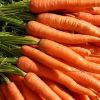 New Crop Fresh Carrot