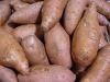 fresh sweet potatoes