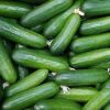 fresh cucumber