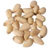 Pine Nuts