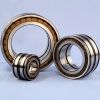 Full complement cylindrical roller bearing