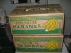 Sell  Fresh Green Banana export standard