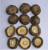 Sell Chinese Dried Mushroom