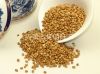 Sell Roasted Buckwheat Kernels