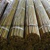 Bamboo pole large