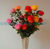 sell rose with 5 pcs head