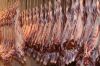 Export Buffalo Meat | Cow Meat Suppliers | Beef Exporters | Sheep Meat Traders | Goat Meat Buyers | Lamb Meat Wholesalers | Low Price Cow Meat | Buy Sheep Meat | Import Beef | Buffalo Meat Importers | Wholesale Cow Meat