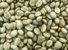 ROBUSTA COFFEE BEANS