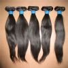 Sell Virgin Brazil Human Hair