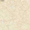 Wholesale Glazed Ceramic/Porcelain Floor Tile