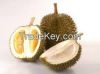 Fresh Durians