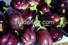 Fresh Eggplant