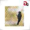 anti bird netting, blocking bird net, bird control net, bird netting