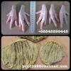  Export Chicken Paw | Chicken Feet Suppliers | Poultry Feet Exporters | Chicken Feets Traders | Processed Chicken Paw Buyers | Frozen Poultry Paw Wholesalers | Low Price Freeze Chicken Paw | Best Buy Chicken Paw | Buy Chicken Paw | Import Chicken Paw | Ch