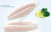 Fillet Pangasius