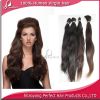 Sell 5A Grade Natural Color New Brazilian Human Hair Wig