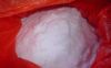 Sell Oxalic acid 99.6%