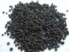 Low price natural black pepper seasonings and condiments for sale