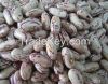 Light Speckled Kidney Beans Grade A