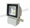 100W COB outdoor LED Flood light IP65