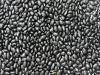 Bulk Dried Black kidney beans