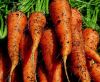 Fresh carrots supplied from Germany