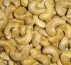 Sell Fresh Cashew nuts supplied from Germany