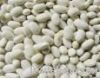 Sell White Kidney Beans