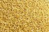 Sell Yellow Millet