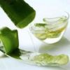 Sell Aloe vera Gel