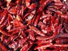 DRIED CHILLI PEPPER FOR SALE