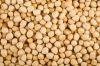 Sell Kabuli chickpeas in different sizes