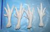 Export Chicken Paw | Chicken Feet Suppliers | Poultry Feet Exporters | Chicken Feets Traders | Processed Chicken Paw Buyers | Frozen Poultry Paw Wholesalers | Low Price Freeze Chicken Paw | Best Buy Chicken Paw | Buy Chicken Paw | Import Chicken Paw | Chi