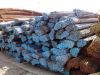 Reinforcement steel bars