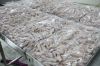  Export Chicken Paw | Chicken Feet Suppliers | Poultry Feet Exporters | Chicken Feets Traders | Processed Chicken Paw Buyers | Frozen Poultry Paw Wholesalers | Low Price Freeze Chicken Paw | Best Buy Chicken Paw | Buy Chicken Paw | Import Chicken Paw | Ch