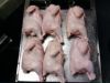 Sell Frozen Chicken Feet, Whole Leg Quarter  & Frozen Chicken Fillet