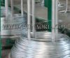 galvanized wire