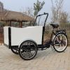 Electric Cargo Trikes tricycle pedicab electric trike