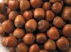 Hazelnuts