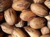 Pecan Nuts For Sale