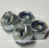 Hex lock nut