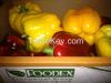 Fresh Capsicum