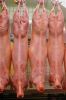 Frozen Lamb/Goat/Mutton Meat whole carcass