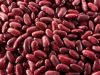 Red Kidney Beans